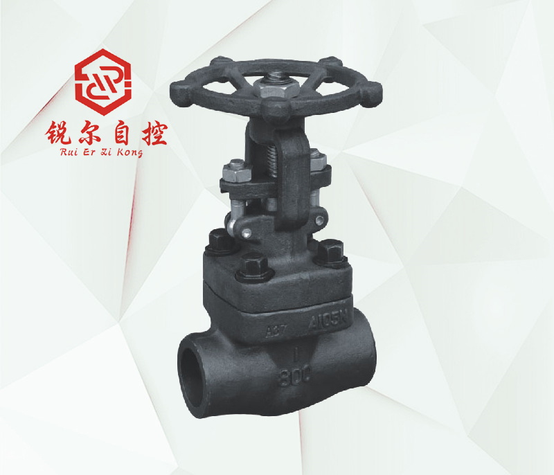 Z61Y�в庸�l�y